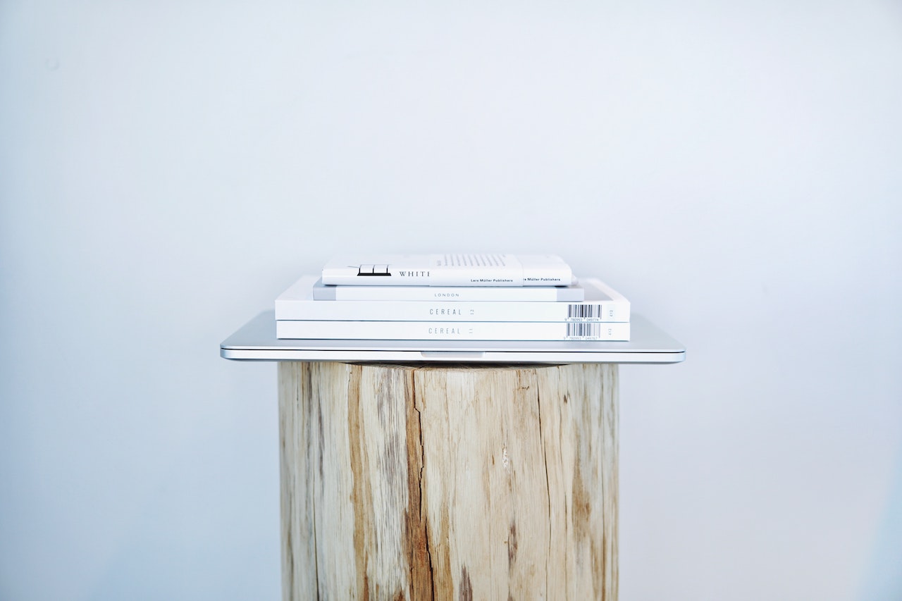 standing log with laptop and books on top